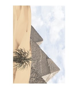 Плитка Golden Tile Luxor бежевый декор 091331