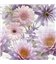 Плитка Opoczno Chinese Asters флауэр декор