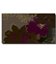 Плитка Paradyz Ceramika Brown А Inserto 090397