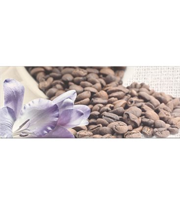 Плитка Opoczno Penne кофе 1 декор