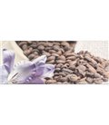 Плитка Opoczno Penne кофе 1 декор